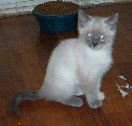 soozette9wk1a.jpg