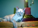 tonks120204c1.jpg